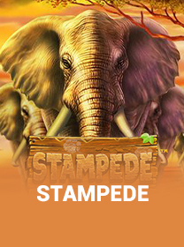 Stampede Slot: RTP, Volatilitas, dan Cara Main banner